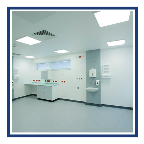 cat-04